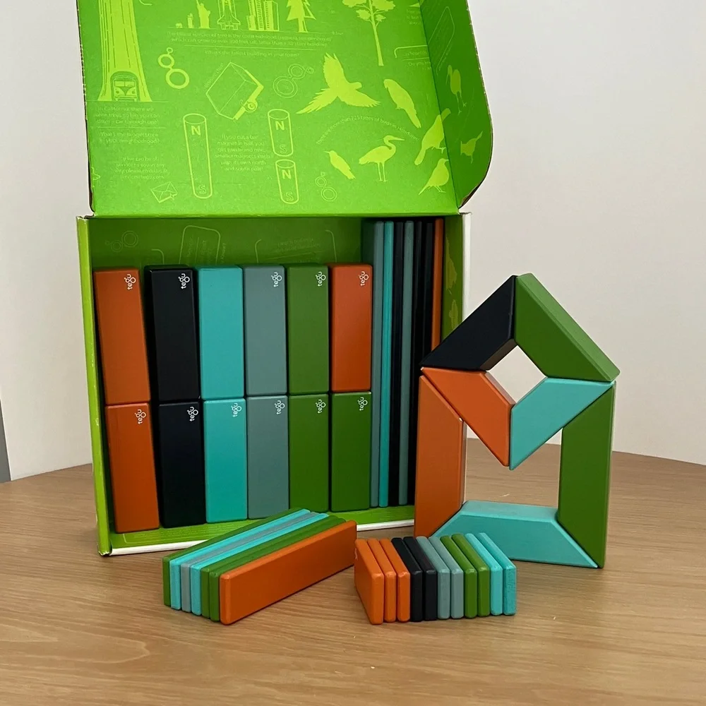 Tegu Magnetic Blocks